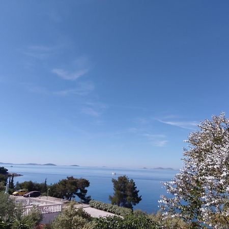 Amazing Villa Galeb In Murter Room photo